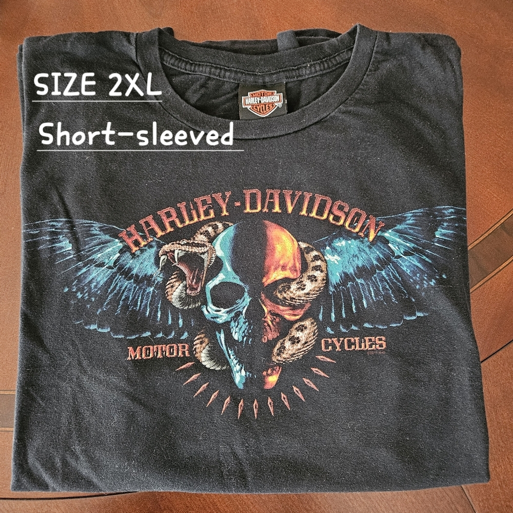 MEN'S HARLEY DAVIDSON SHORT-SLEEVED T-SHIRT 2XL